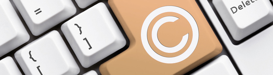 Privacy Policy in Plataforma Única